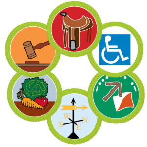6 Merit Badges-2 (1)