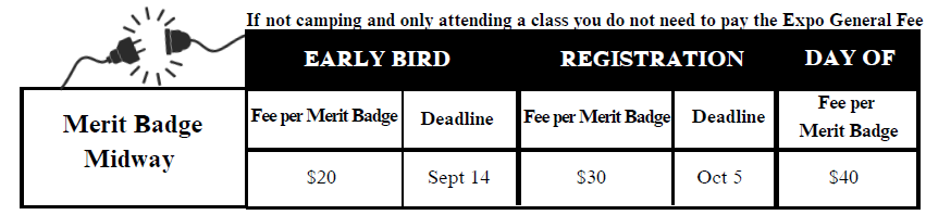 Merit Badge Pricing